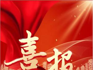 喜報(bào)！精大儀表被認(rèn)定為 合肥市大數(shù)據(jù)企業(yè)